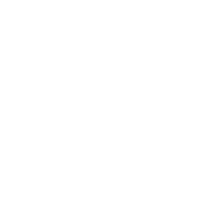 sinnbild_1-day-page-icon10