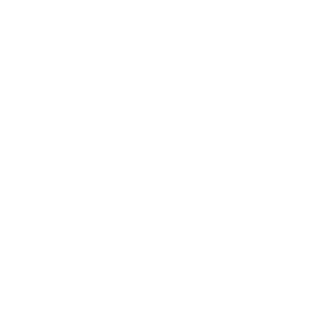 sinnbild_1-day-page-icon12