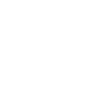 sinnbild_1DP-Security3
